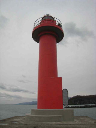 ���������ꂽ�h�g�瓔��